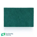 Green Scouring Pads