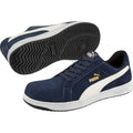 Iconic Safety Trainer